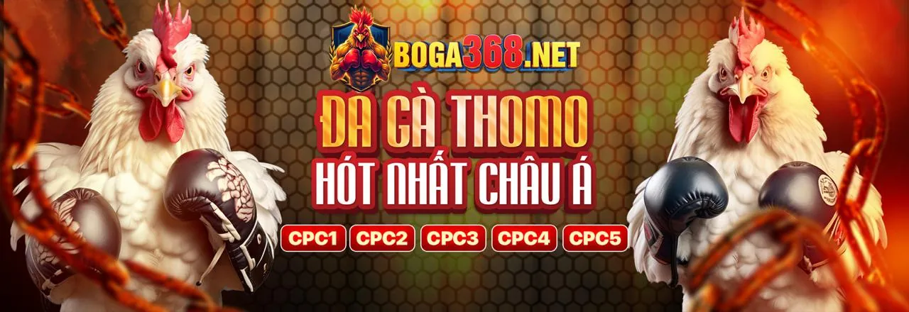 Sơ đồ hệ thống cấp độ VIP của tải choangvip.club